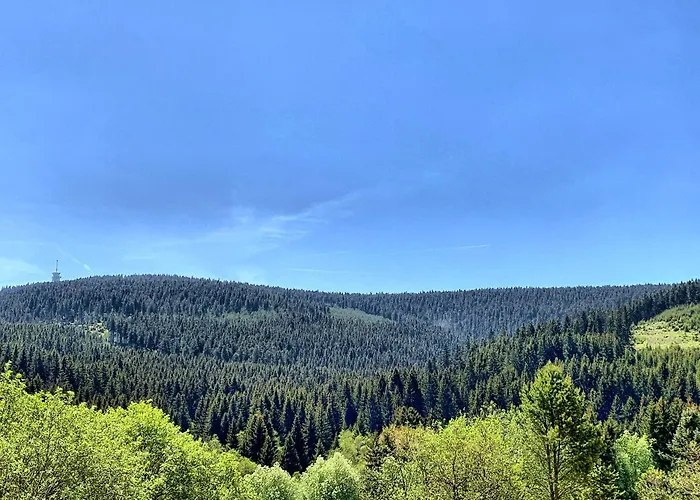 Erzgebirge Suite Bergruhe